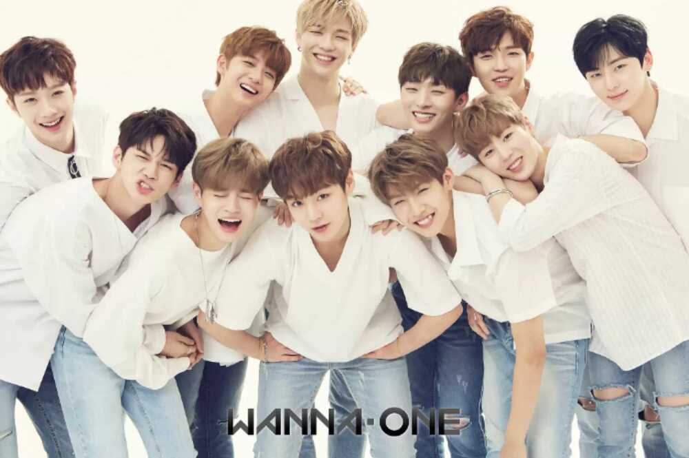 워너원 해체 이후 가장 반가운 소식, 워너원 재결합 2021 마마 콘서트 참여?