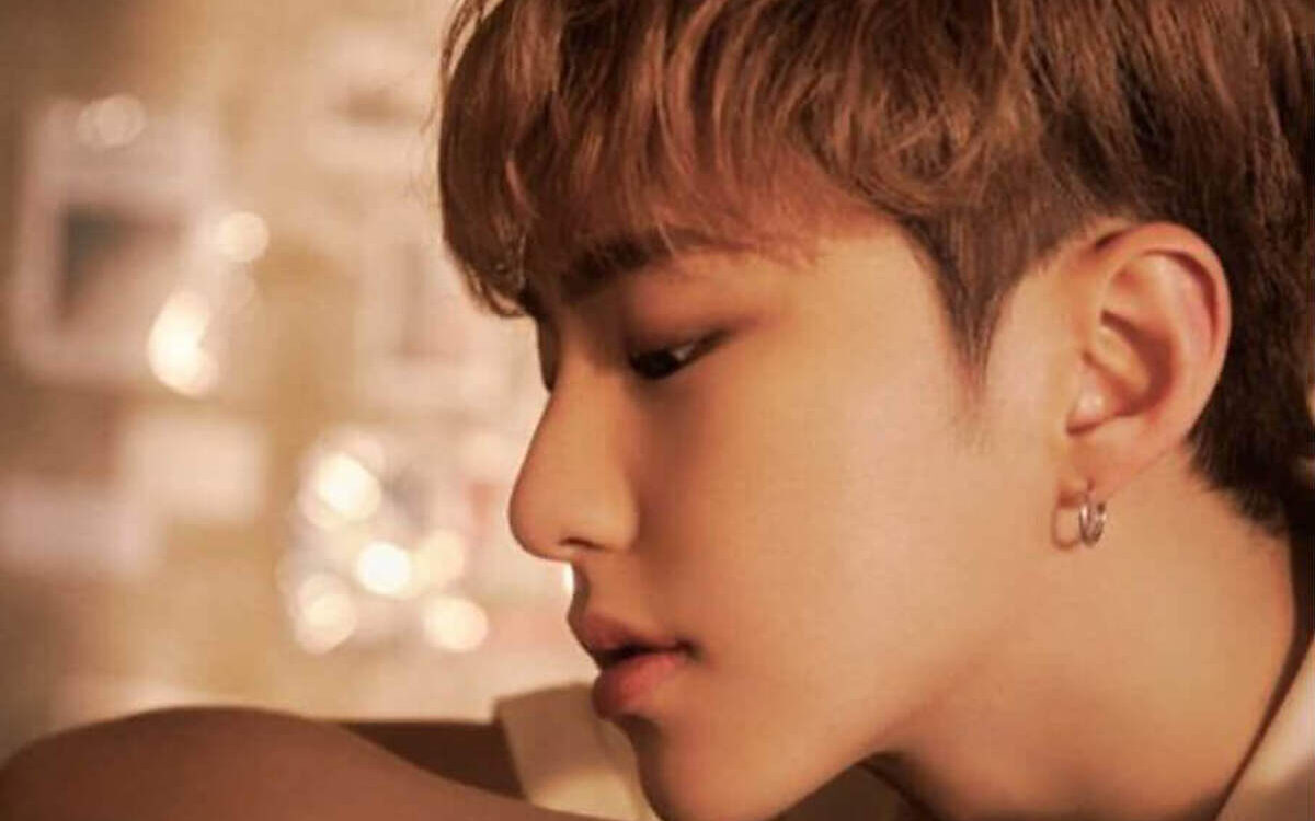 세븐틴 호시 1 edited