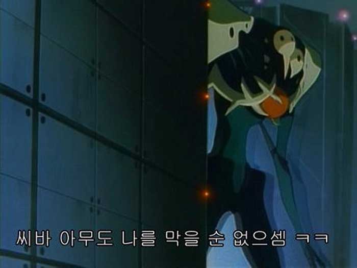 에반게리온 보는 순서 (TVA부터 신극장판까지) 12 eva