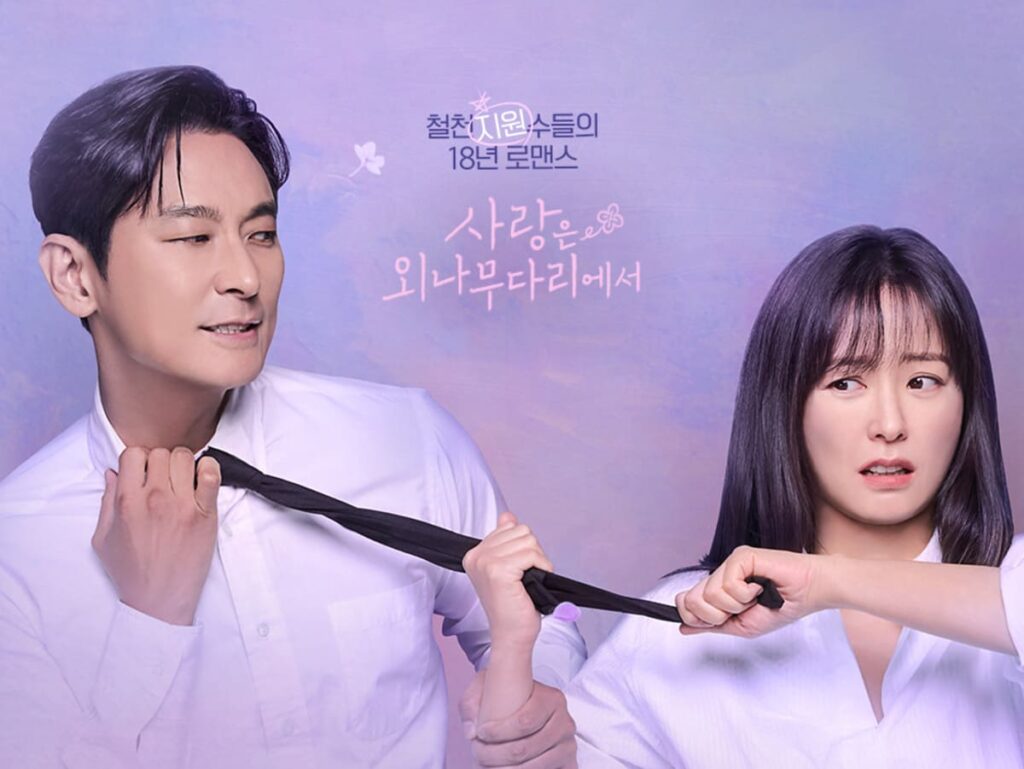 드라마 사랑은 외나무다리에서 '원수 같은 나의 첫사랑!' 1 드라마 사랑은외나무다리에서 공식 포스터 주지훈 정유미