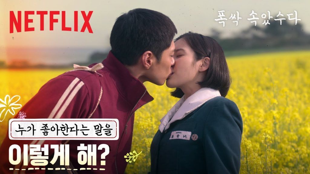 넷플릭스 폭싹 속았수다 '박보검 아이유'의 청춘 로맨스 in 제주 1 ec9584ec9db4ec9ca0 eb 1