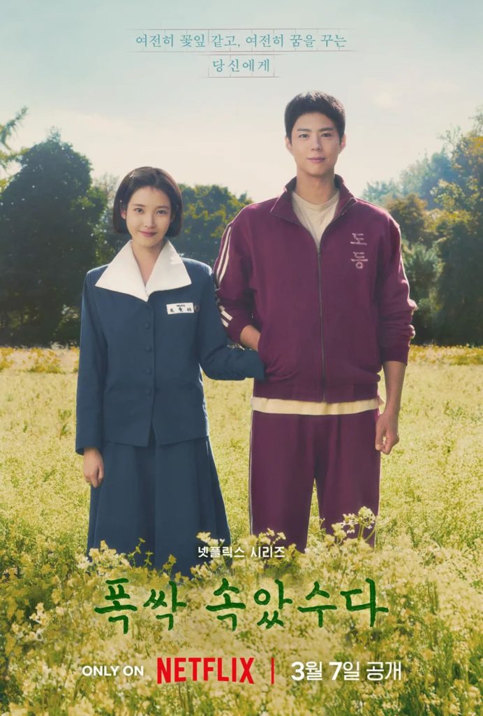 넷플릭스 폭싹 속았수다 '박보검 아이유'의 청춘 로맨스 in 제주 1 넷플릭스 폭싹 속았수다 박보검 아이유 유채꽃 제주 포스터