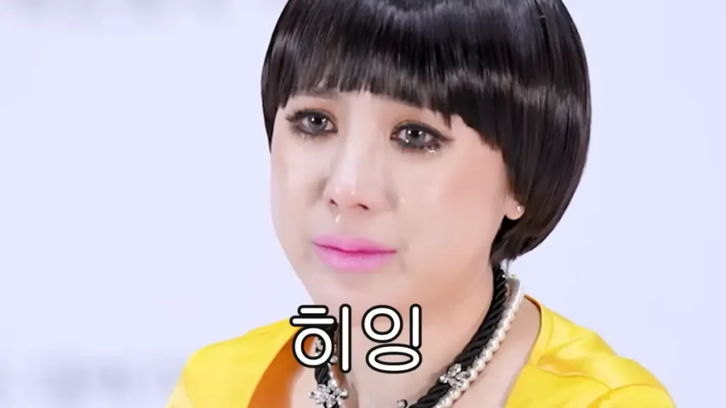 서인영 유튜브 복귀 서인영의 개과천선