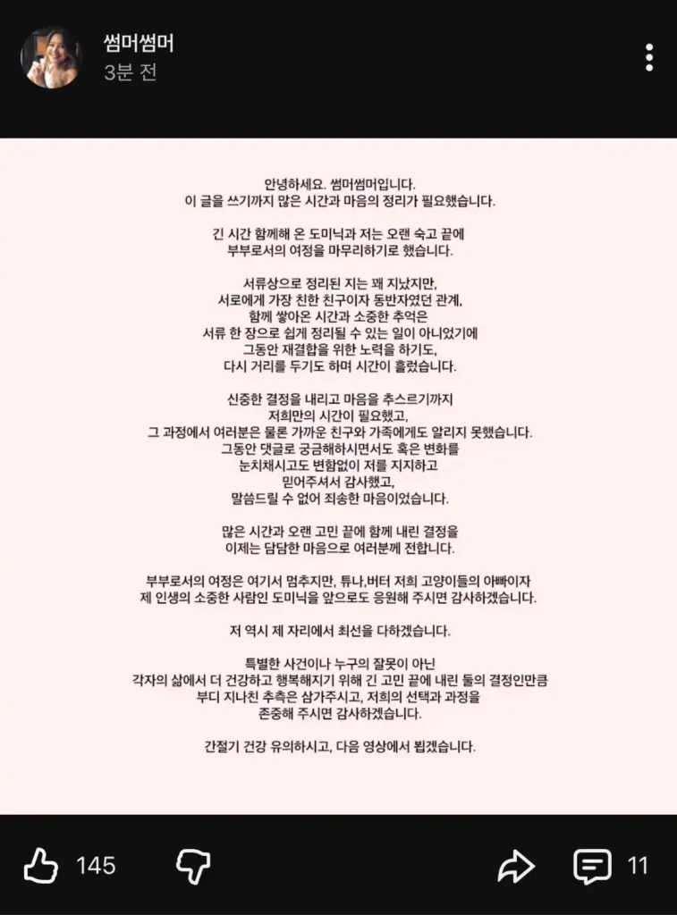 도미닉 썸머썸머 인스타 이혼 발표