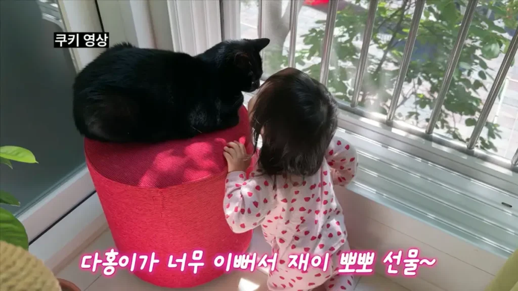 유투브 박수홍 다홍이 재이 육아