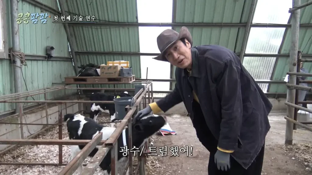 tvN 콩콩팜팜 이광수