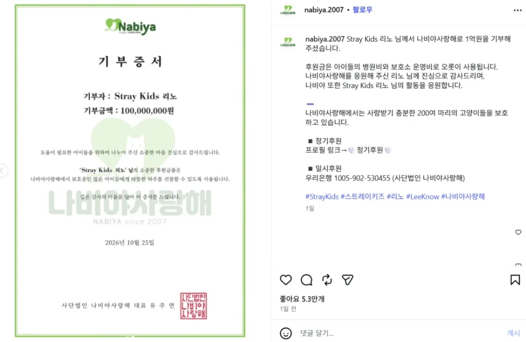 Stray Kids 리노 유기묘 기부 1억 나비야 사랑해